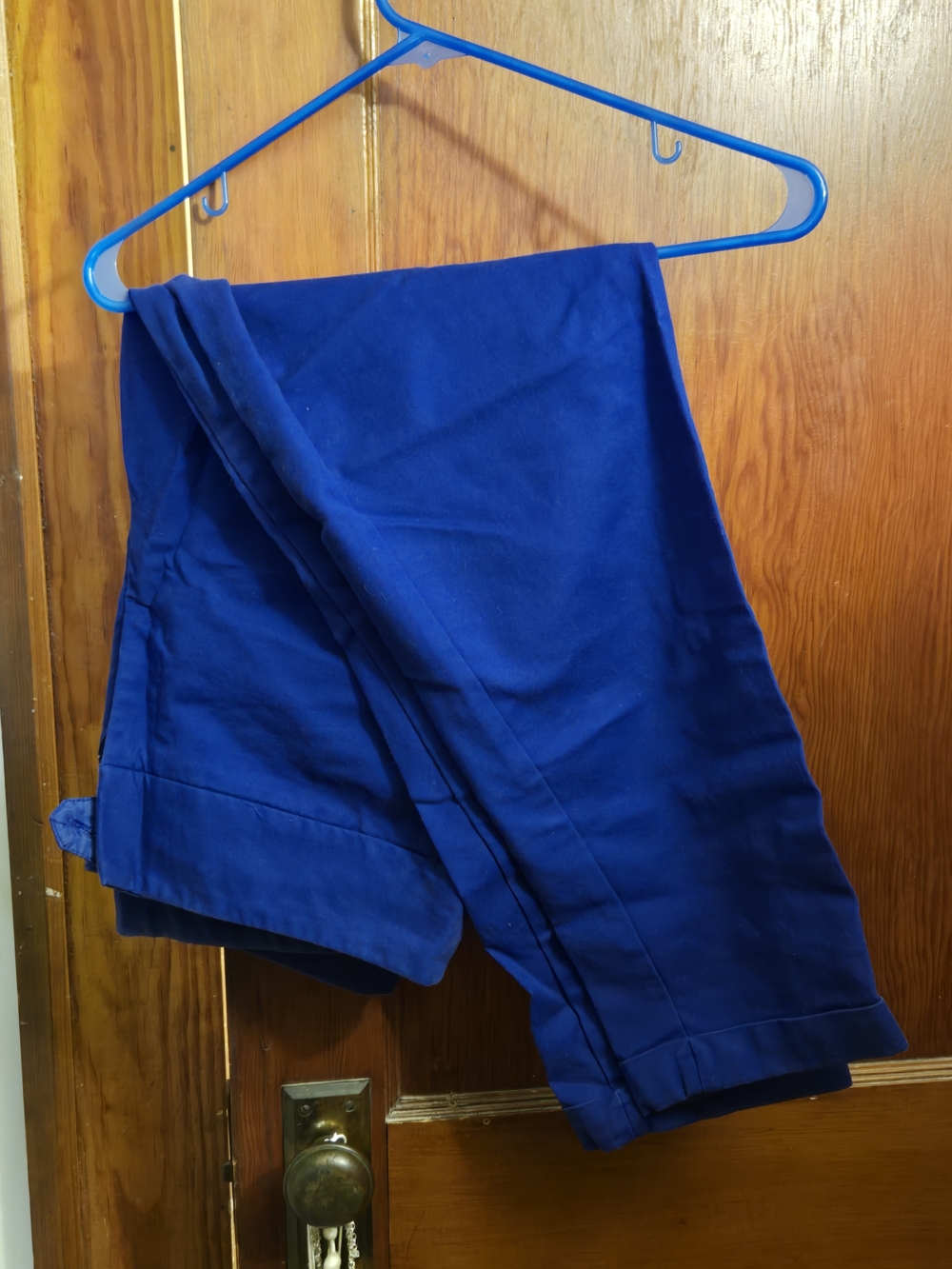 Worthington Cobalt Blue Women's Chinos